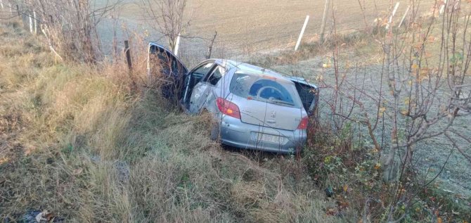 Yoldan Çıkan Otomobil Tarlaya Uçtu: 1 Yaralı
