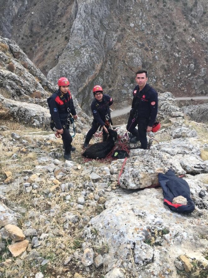 İ̇tfaiyeden 3 Saatlik Keçi Kurtarma Operasyonu