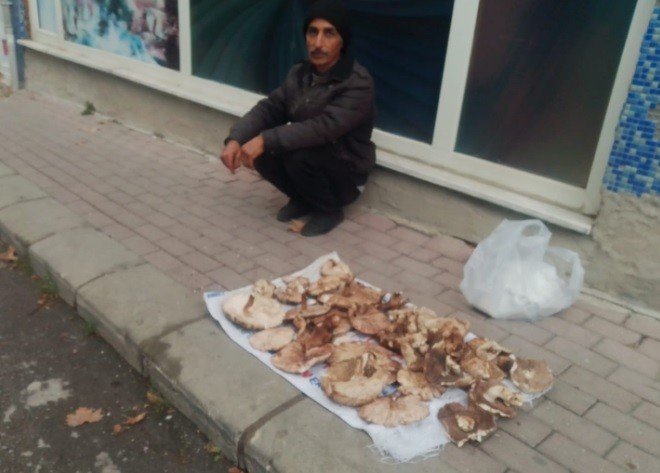 Tavşanlı’da Mantar Satışları Başladı