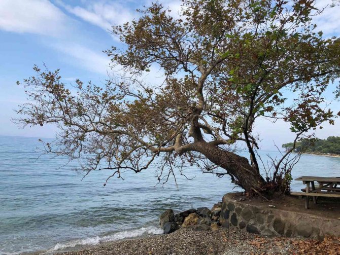 Manisalı Kamu Fotoğrafçılarından Fotoğraf Sergisi