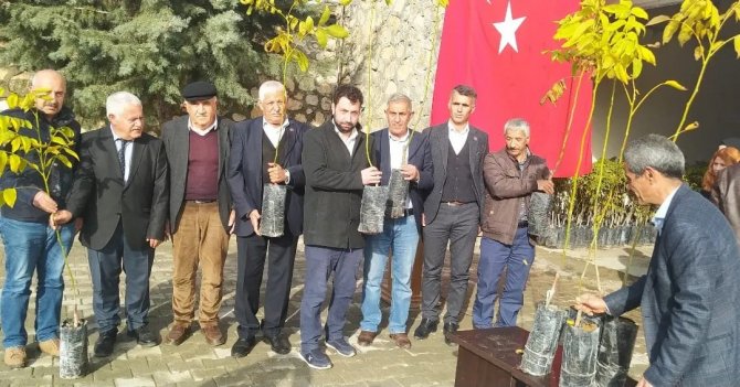 Çelikhan’da 2 Bin Adet Ceviz Fidanı Dağıtıldı