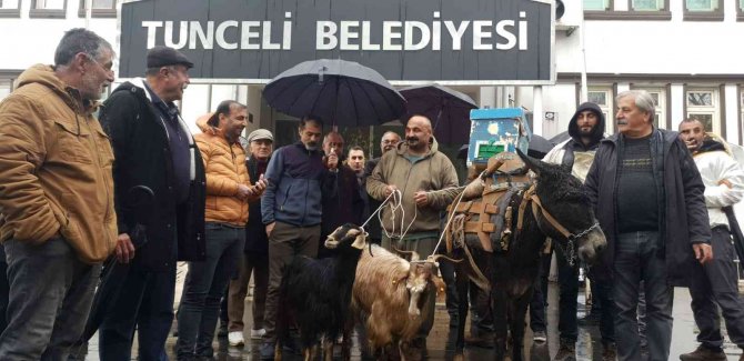 Köylüler Belediye Önüne Eşek, Keçi Ve Arılar İle Gelip Tepki Gösterdi