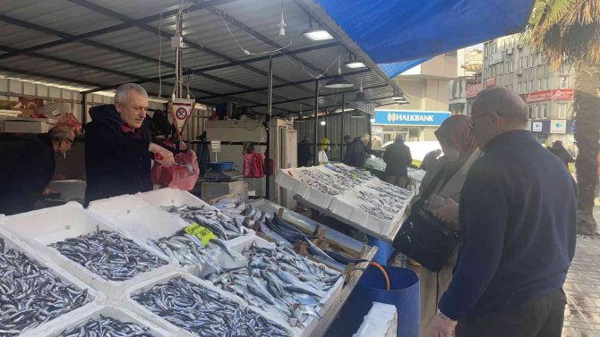 Balıkçıların Yüzü Hamsiyle Güldü