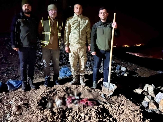 Koruma Altındaki Oklu Kirpiyi Öldüren Şahsa Ve Kaçak Avlanan 11 Kişiye Para Cezası