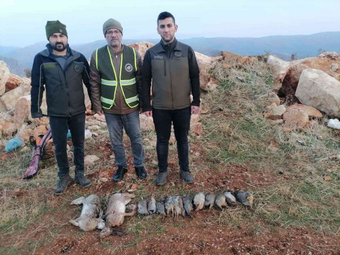 Koruma Altındaki Oklu Kirpiyi Öldüren Şahsa Ve Kaçak Avlanan 11 Kişiye Para Cezası