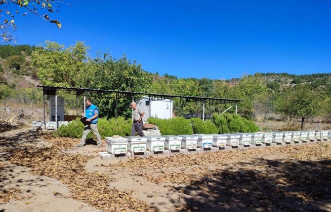 Simav’da Arıcılık Ve Arılı Kovan Tespit Çalışmaları