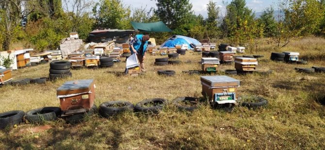 Simav’da Arıcılık Ve Arılı Kovan Tespit Çalışmaları