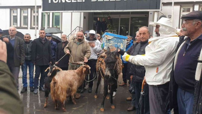 Köylüler Belediye Önüne Eşek, Keçi Ve Arılar İle Gelip Tepki Gösterdi