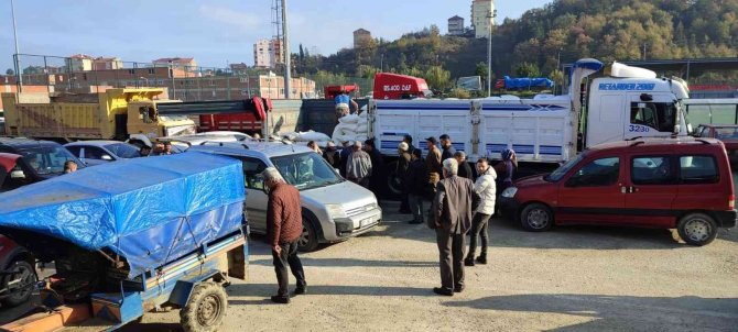 Türkelili Arıcılara 20 Ton Toz Şeker Dağıtıldı