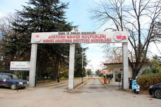 Boz, “Türk Tarımının Gelişimine Önemli Katkılar Sunuyoruz”