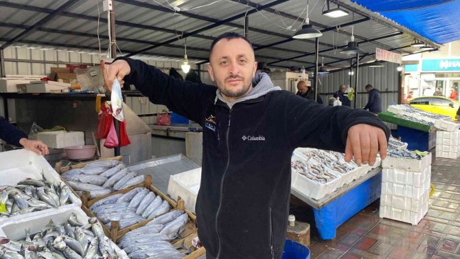 Balıkçıların Yüzü Hamsiyle Güldü