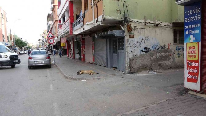 Motosikletli Polis Aracına Çarptı, Sürücünün Havalanıp Düşme Anı Kameraya Yansıdı