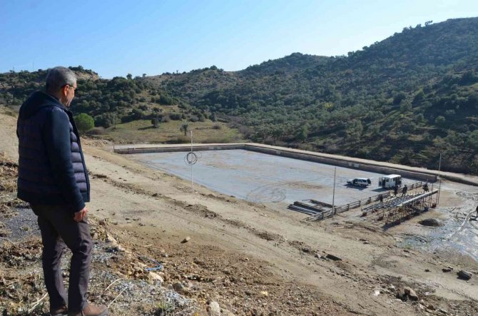 Koçarlı’da Deve Güreşi Hazırlıkları Tamamlandı