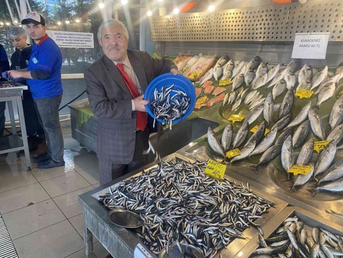 Denizlerde Balık Bolluğu, Hamsi 80 Liradan 40’a Düştü