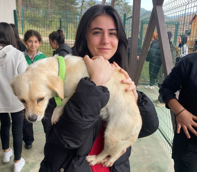 Bu Merkez Can Dostlara ’Şifa’ Dağıtıyor