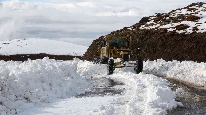 Kar Kaplanlarının Kış Mesaisi Başladı