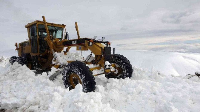 Kar Kaplanlarının Kış Mesaisi Başladı