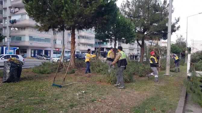 Samsun’da Ağaçlara Kış Bakımı