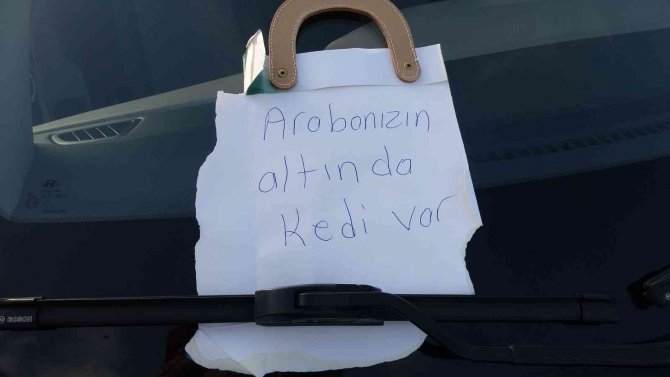 Otomobilin Motor Kısmına Girdi, Dönerin Kokusunu Alınca Çıktı