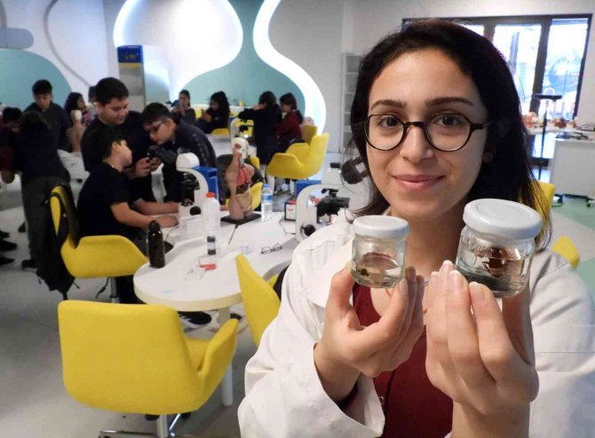 Bilim Merkezinde Öğrenciler Dokuları İnceliyor