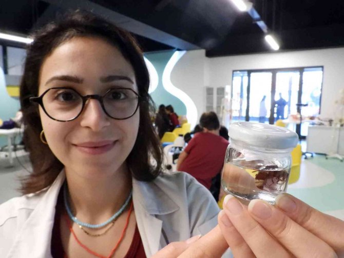 Bilim Merkezinde Öğrenciler Dokuları İnceliyor