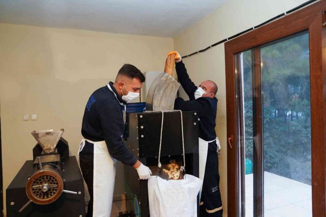 Sokak Hayvanları İçin Organik Mama Üretiyorlar