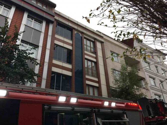 Bayrampaşa’da Bir Evde Çıkan Yangında Muhabbet Kuşları Kurtarıldı