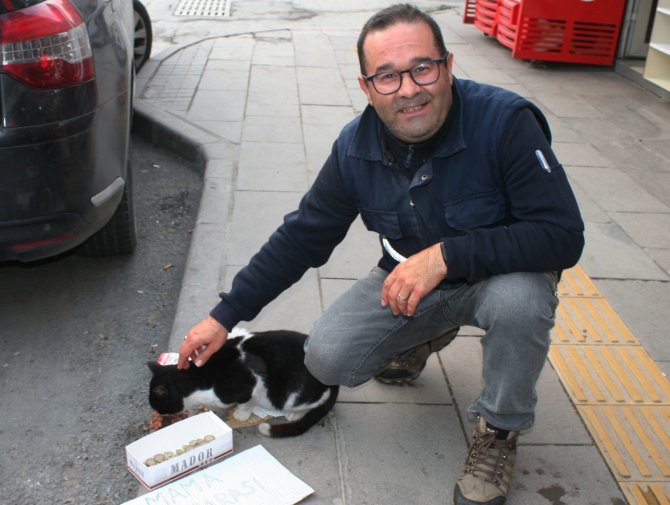 Bu Kedi Mama Parası Biriktirmek İçin Kaldırımda Bekliyor
