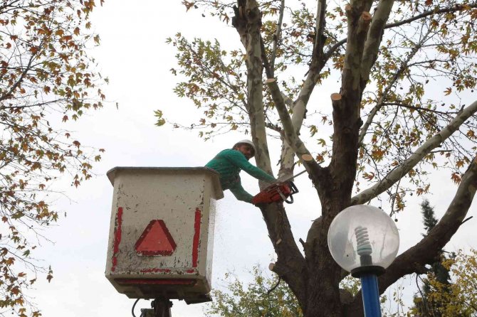 Efeler’in Yeşil Ekipleri Budama Mesaisine Devam Ediyor