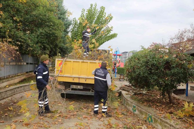 Efeler’in Yeşil Ekipleri Budama Mesaisine Devam Ediyor
