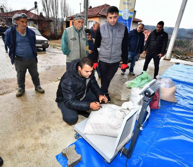 Yerli Kuru Fasulyeyle Çiftçiye 1,5 Milyon Liralık Destek