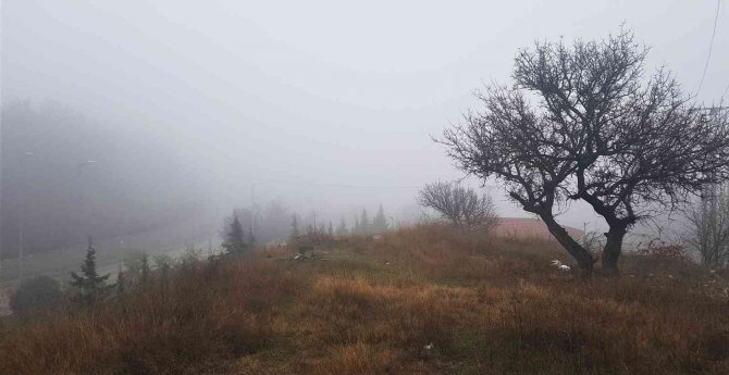 Yoğun Sis Görüş Mesafesini Kısalttı