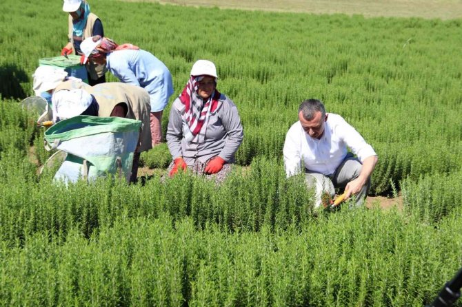 Tarıma Katkı Sağlayacak İş Birliği