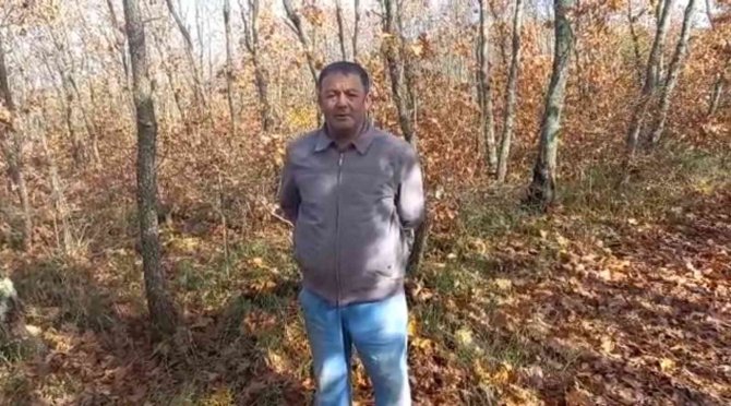 Ormanda Odun Kesen Muhtara Domuz Saldırdı