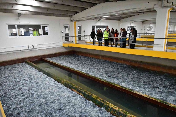 Odtü Öğrencileri İ̇vedik İ̇çme Suyu Arıtma Tesisi’ni Ziyaret Etti