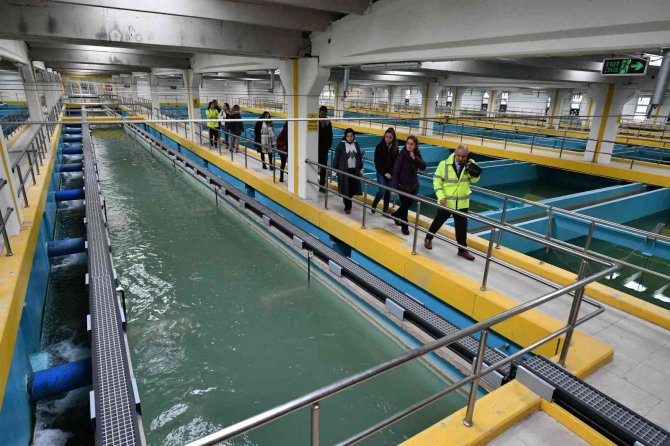 Odtü Öğrencileri İ̇vedik İ̇çme Suyu Arıtma Tesisi’ni Ziyaret Etti