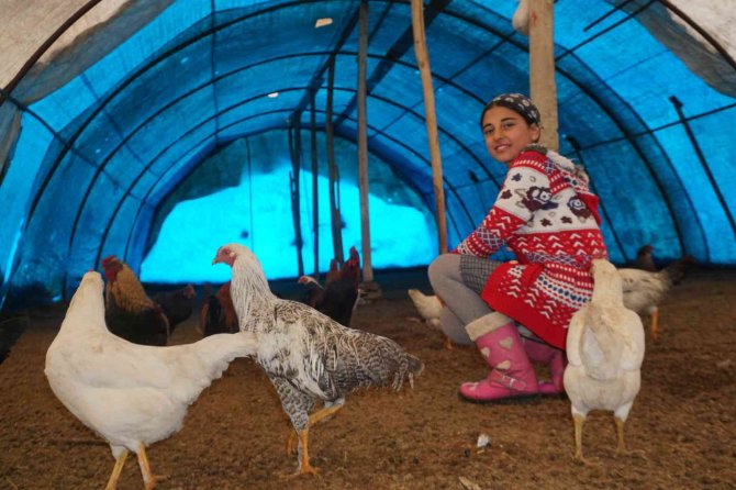 Huzur Ortamı Sağlanan Şırnak Yaylalarında, 13 Yaşındaki Kız Çocuğu Hayatını Hayvanlara Adadı