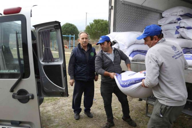 Aydın Büyükşehir Belediyesi’nden Küçük Aile İşletmelerine Yem Desteği