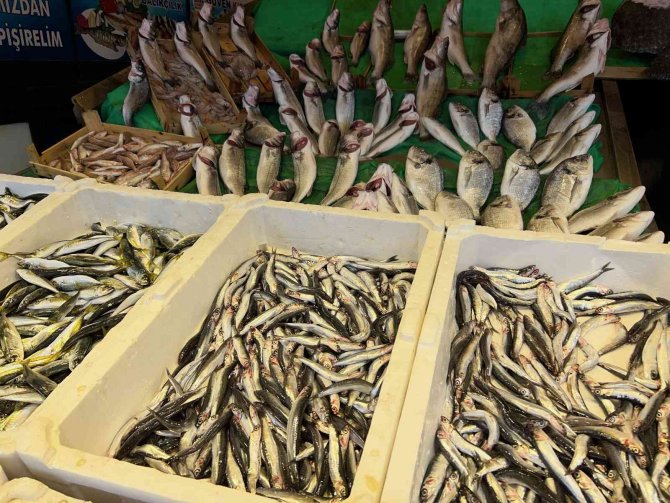 Balık Tezgahlarında Palamutun Yerini Çinekop Ve Hamsi Aldı
