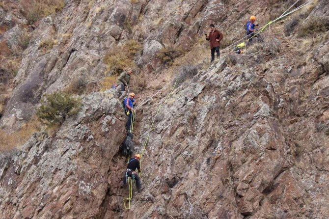 Dağda Mahsur Kalan 2 Keçiyi Afad Ekibi Kurtardı