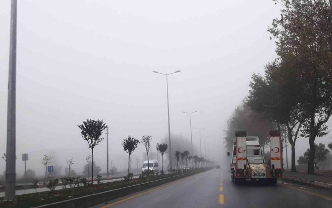 Muğla’da Yoğun Sis Ulaşımı Etkiledi