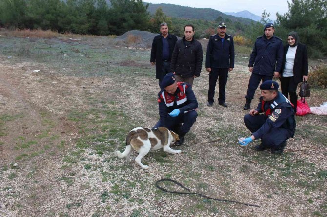 Bilecik’te Sokak Hayvanlarını Elleriyle Beslediler