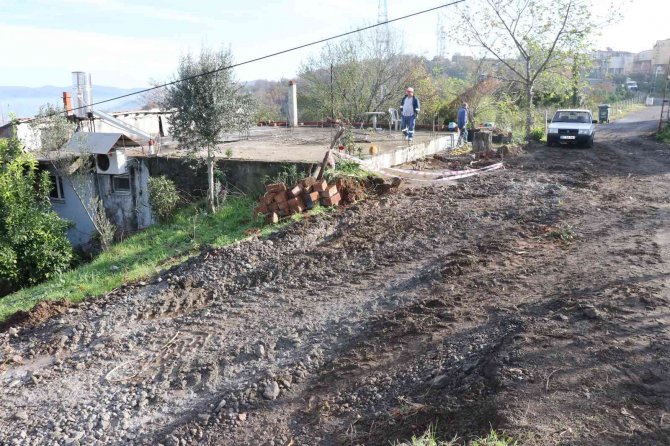 Belediyenin Meyve Ağaçlarını Sökmesine Vatandaşlardan Tepki
