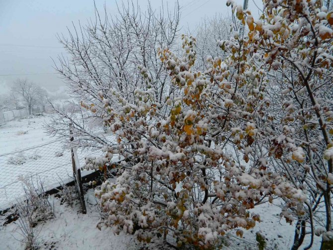 Posof Vadisi Beyaza Büründü