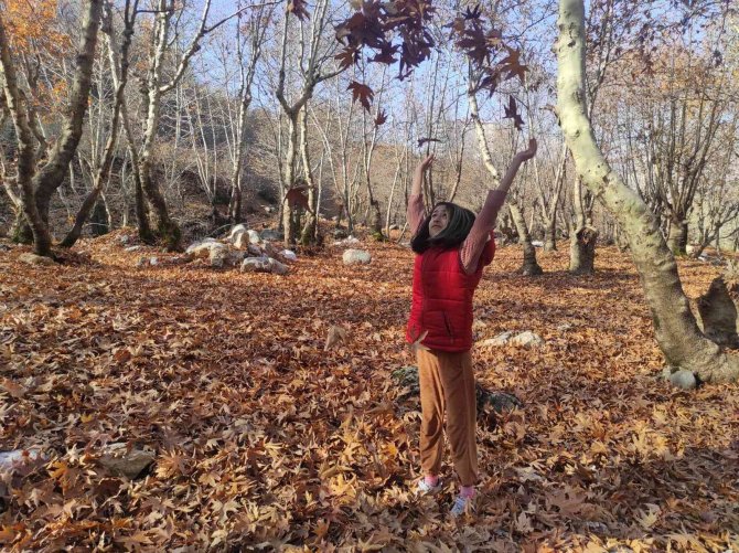 Batman’da Asırlık Çınar Ağaçlarının Yaprakları Doğal Stüdyo Oluşturdu