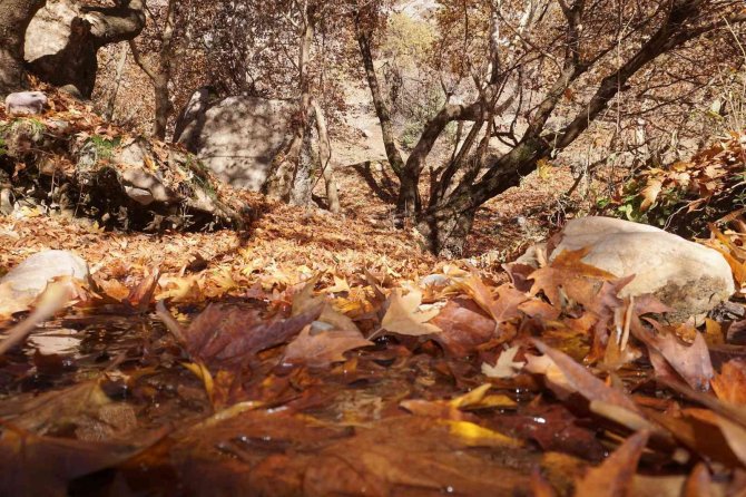 Şırnak’ta Kartpostallık Görüntüler Oluştu