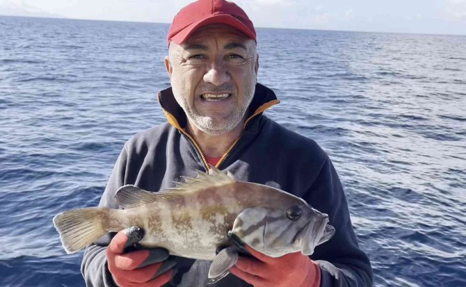 50 Yıl Sonra İlk Kez Kuzey Ege’de Görüldü