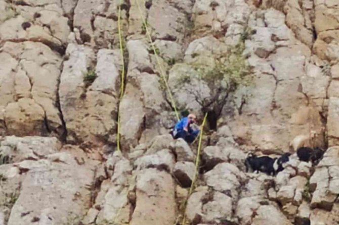Siirt’te Kayalıklarda Mahsur Kalan Keçiler 5 Gün Sonra Kurtarıldı