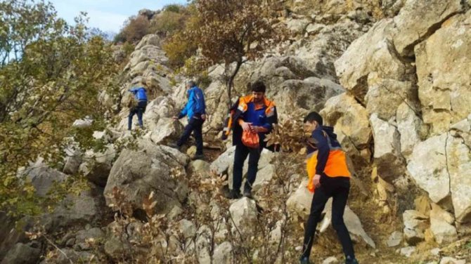 Siirt’te Kayalıklarda Mahsur Kalan Keçiler 5 Gün Sonra Kurtarıldı