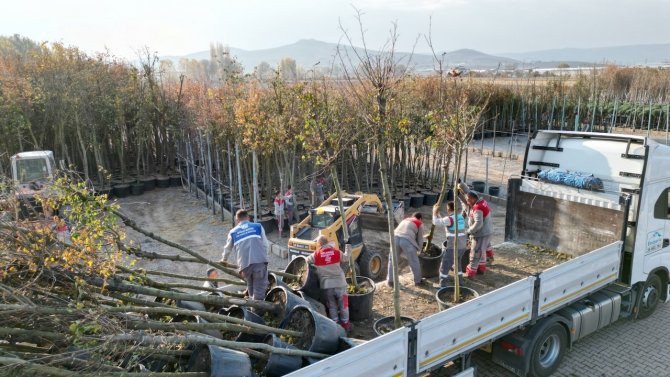 Melikgazi Belediyesi İ̇lçeyi Ağaçlandırmada Zamandan Kazanıyor